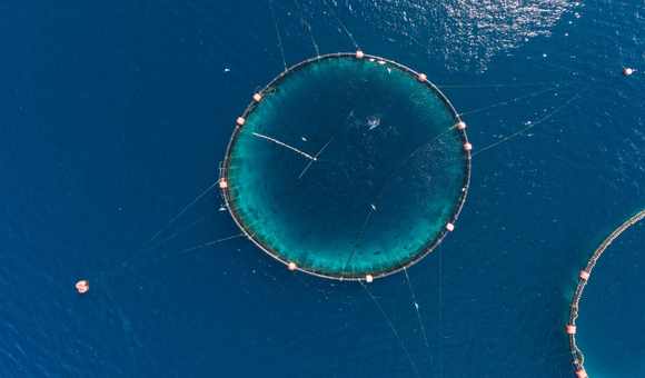 aquaculture sea farm image - aerial